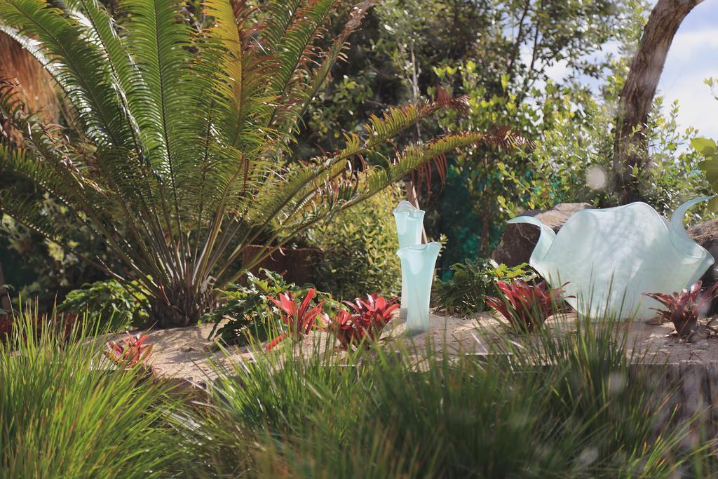 Two Bare Feet Apartment Waihi Exterior foto