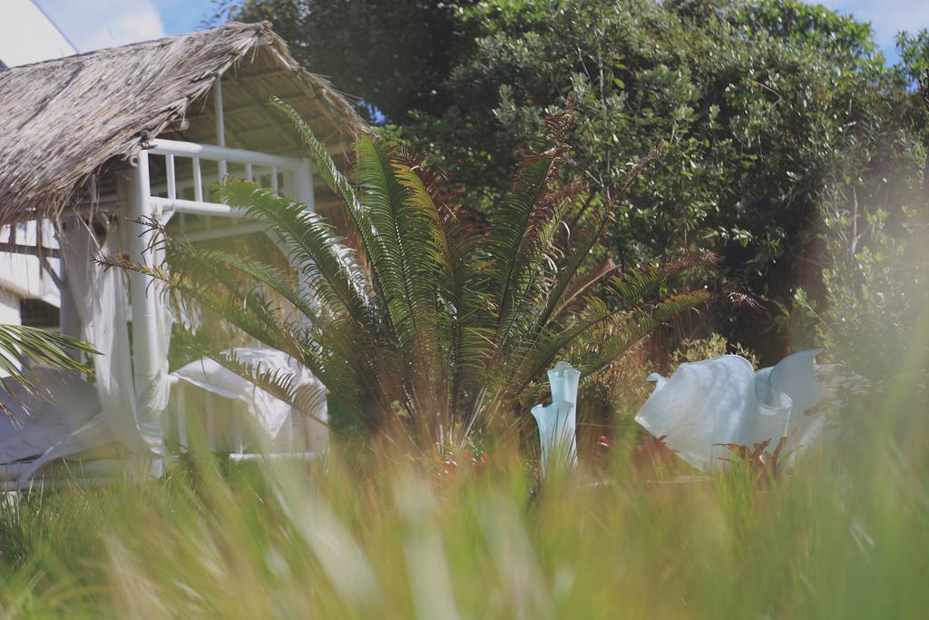 Two Bare Feet Apartment Waihi Exterior foto